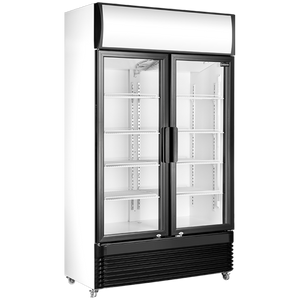 Double Glass Door Upright Display Fridge in Black | SC-860FP