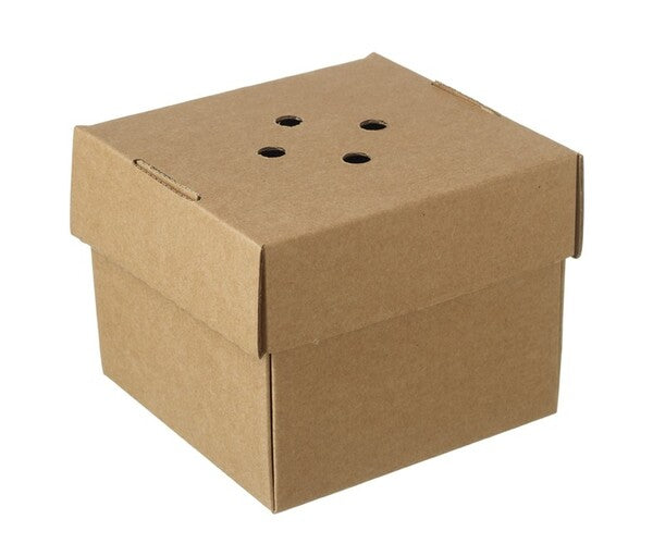 Largest Supplier of Hygiene & Catering, Donegal, UK, Ireland, Kellyshc.ie  Compostable Burger Box 